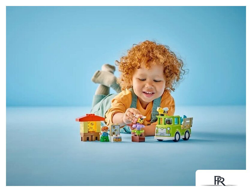 Конструктор LEGO Duplo 10419 Уход за пчелами и ульями - Изображение №6 — Интернет-магазин ПроЗаказ