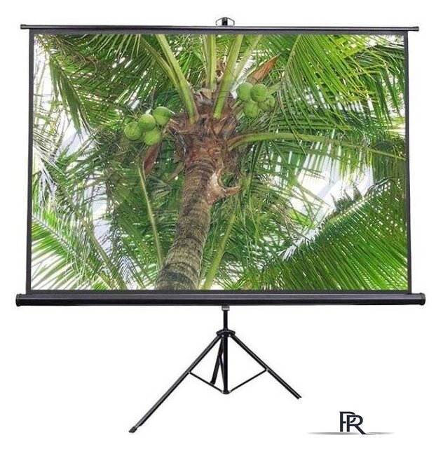 Проекционный экран Future Vision Tripod 200x200 T200SMW - Изображение №1 — Интернет-магазин ПроЗаказ