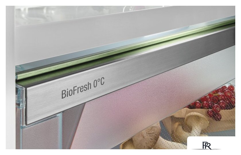 Холодильник Liebherr ICBSd 5122 Plus - Изображение №5 — Интернет-магазин ПроЗаказ