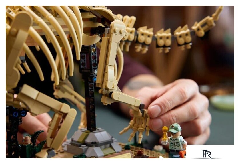 Конструктор LEGO Jurassic World 77985 Окаменелости динозавров: Трицератопс - Изображение №11 — Интернет-магазин ПроЗаказ