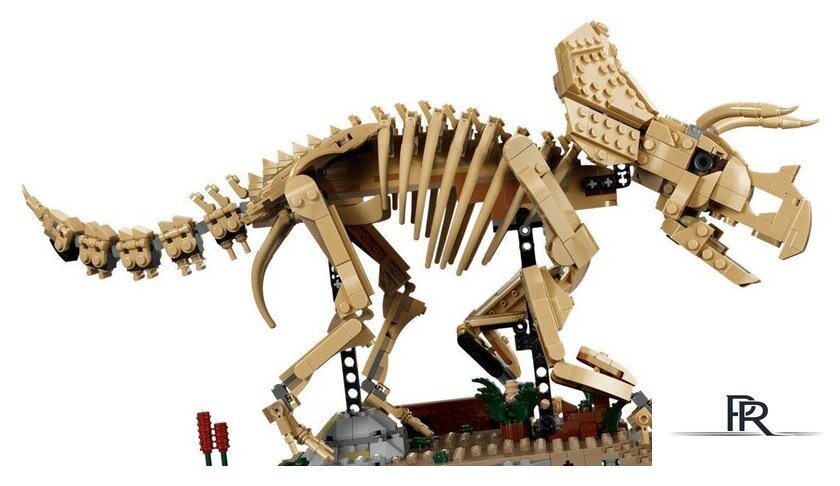Конструктор LEGO Jurassic World 77985 Окаменелости динозавров: Трицератопс - Изображение №3 — Интернет-магазин ПроЗаказ