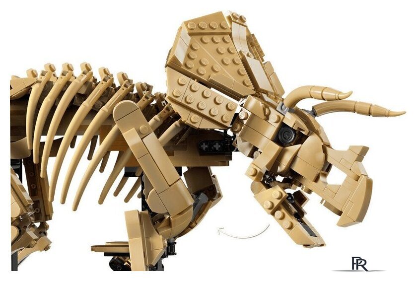 Конструктор LEGO Jurassic World 77985 Окаменелости динозавров: Трицератопс - Изображение №5 — Интернет-магазин ПроЗаказ