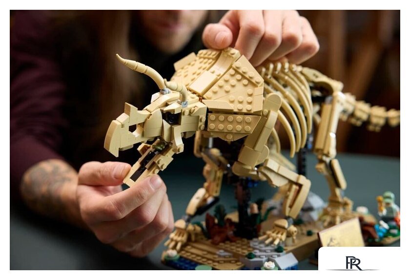 Конструктор LEGO Jurassic World 77985 Окаменелости динозавров: Трицератопс - Изображение №12 — Интернет-магазин ПроЗаказ