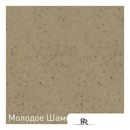 Кухонная мойка Zigmund & Shtain Rechteck 780 (молодое шампанское) - Изображение №2 — Интернет-магазин ПроЗаказ