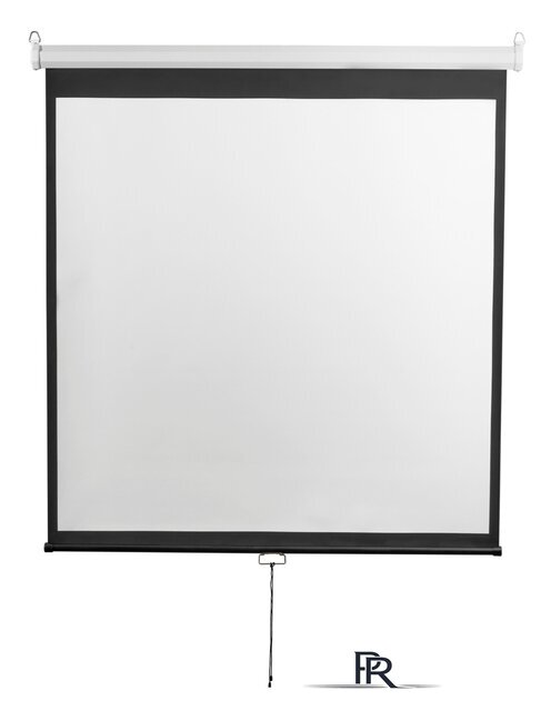 Проекционный экран Digis Optimal-D 206x209 DSOD-1105 - Изображение №1 — Интернет-магазин ПроЗаказ