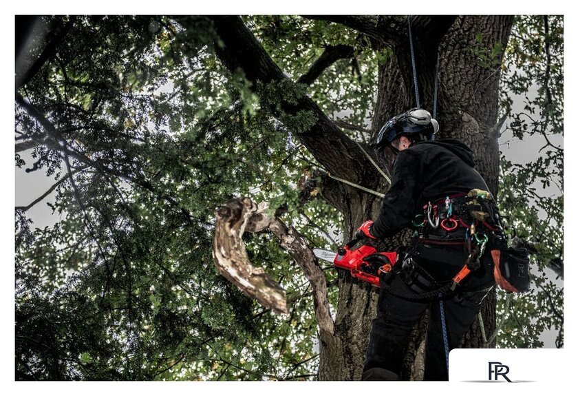 Аккумуляторная пила Milwaukee M12 FHS-602X Fuel 4933472212 (без АКБ) - Изображение №16 — Интернет-магазин ПроЗаказ