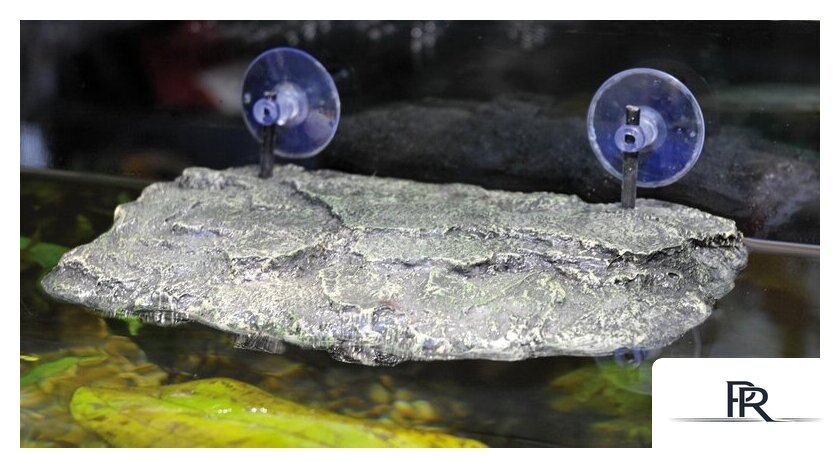 Декорация Lucky Reptile Островок TU-L - Изображение №4 — Интернет-магазин ПроЗаказ
