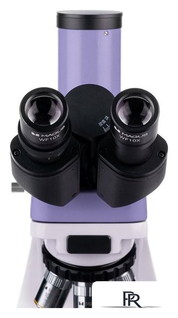 Микроскоп Magus Bio D230TL 83006 - Изображение №9 — Интернет-магазин ПроЗаказ