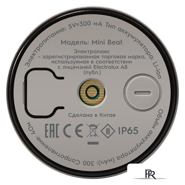 Беспроводная колонка Electrolux Mini Beat - Изображение №7 — Интернет-магазин ПроЗаказ