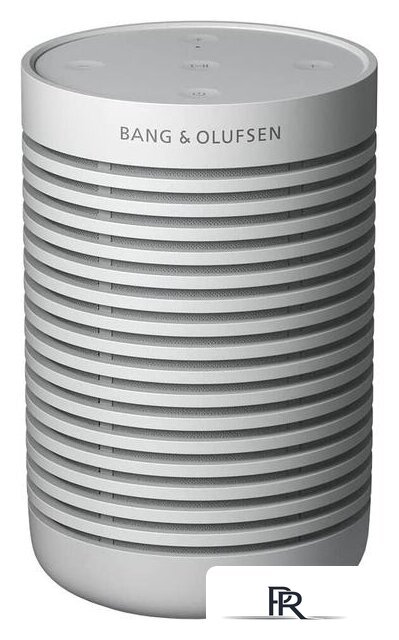 Беспроводная колонка Bang & Olufsen Beosound Explore (серый) - Изображение №1 — Интернет-магазин ПроЗаказ