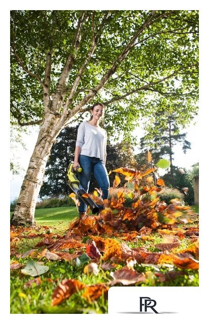 Ручная воздуходувка Ryobi OBL18JB (без АКБ) - Изображение №6 — Интернет-магазин ПроЗаказ