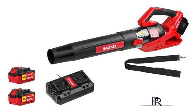 Садовая воздуходувка Wortex BB 2536 D ALL1 1333405 (с 2-мя АКБ) - Изображение №1 — Интернет-магазин ПроЗаказ