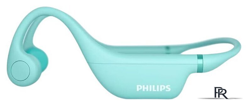 Наушники Philips TAK4607GR/00 - Изображение №1 — Интернет-магазин ПроЗаказ