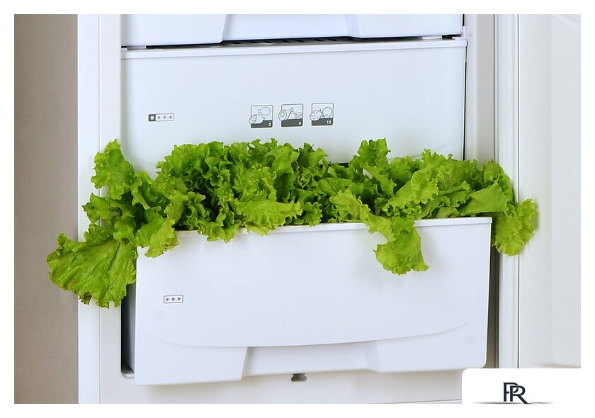 Холодильник POZIS RK-102 (бежевый) - Изображение №6 — Интернет-магазин ПроЗаказ