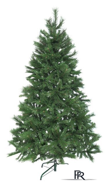 Ель Winter Time XCD06-745T 1.8 м - Изображение №1 — Интернет-магазин ПроЗаказ