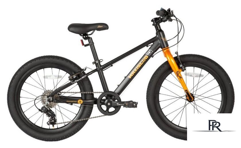 Детский велосипед Maxiscoo 5Bike 20 M 2024 (черный матовый) - Изображение №1 — Интернет-магазин ПроЗаказ