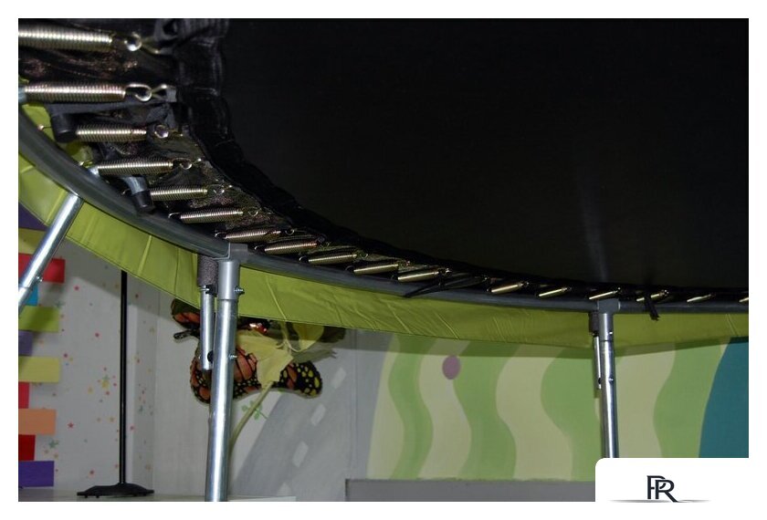 Батут Atlas Sport 252 см - 8ft Master (с лестницей, зеленый) - Изображение №2 — Интернет-магазин ПроЗаказ