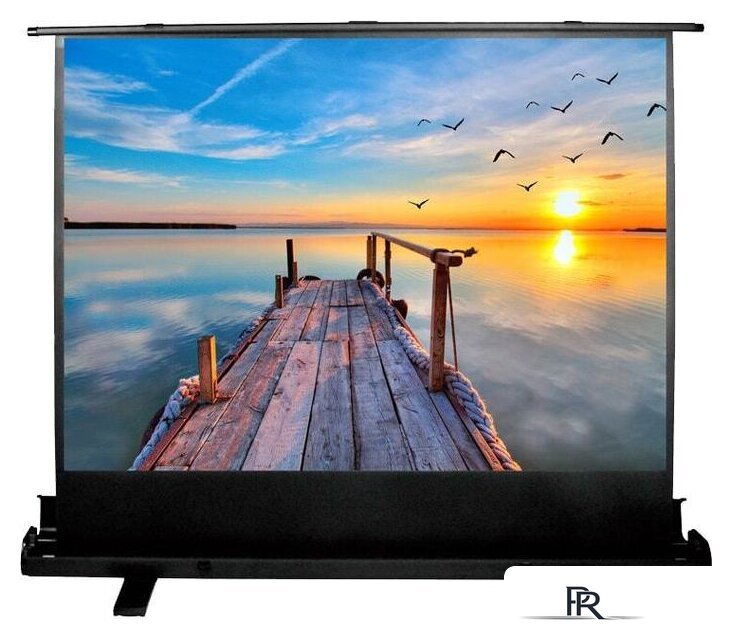 Проекционный экран CACTUS FloorExpert 113x200 CS-PSFLE-200X113 - Изображение №1 — Интернет-магазин ПроЗаказ