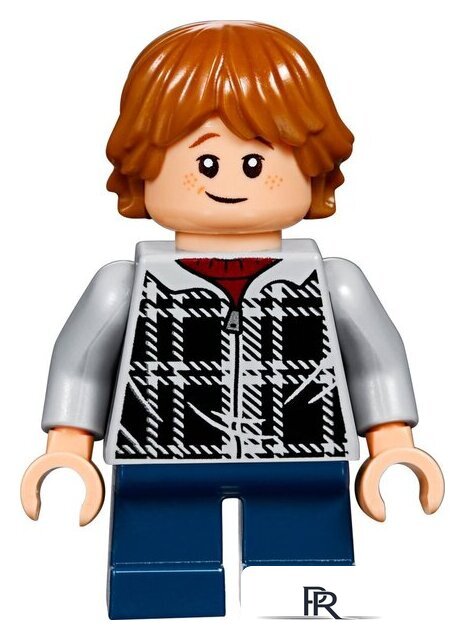 Конструктор LEGO Harry Potter 75955 Хогвартс-экспресс - Изображение №11 — Интернет-магазин ПроЗаказ