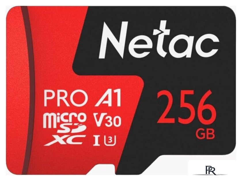 Карта памяти Netac P500 Extreme Pro 256GB NT02P500PRO-256G-S - Изображение №1 — Интернет-магазин ПроЗаказ
