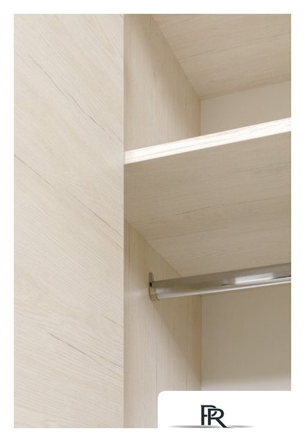 Шкаф распашной Рэйгрупп Bromo 02.02 ДЗ 90x198x55 ШР 02.02 BR (дуб бордолайт) - Изображение №5 — Интернет-магазин ПроЗаказ