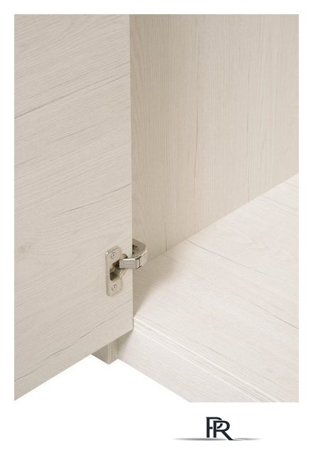 Шкаф распашной Рэйгрупп Bromo 02.02 ДЗ 90x198x55 ШР 02.02 BR (дуб бордолайт) - Изображение №4 — Интернет-магазин ПроЗаказ