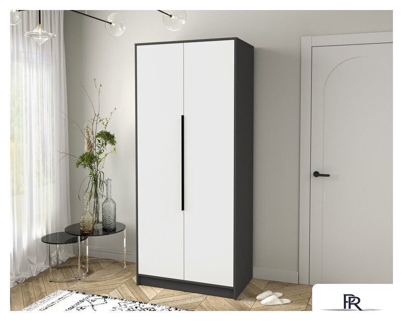 Шкаф распашной Интерлиния Концепт КТ-Ш2 (белый платинум/антрацит) - Изображение №5 — Интернет-магазин ПроЗаказ