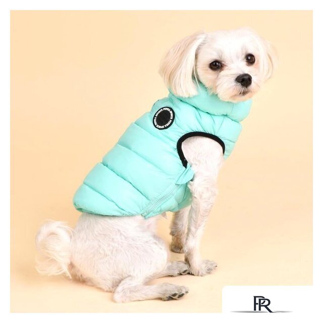 Жилетка для животных Puppia Ultra Light Vest B PAPD-JM1671-SB-XL (бирюзовый) - Изображение №3 — Интернет-магазин ПроЗаказ