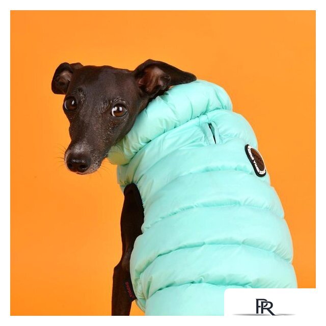Жилетка для животных Puppia Ultra Light Vest B PAPD-JM1671-SB-XL (бирюзовый) - Изображение №4 — Интернет-магазин ПроЗаказ