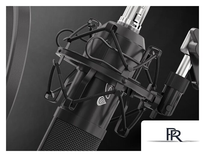 Проводной микрофон Genesis Radium 300 XLR - Изображение №9 — Интернет-магазин ПроЗаказ