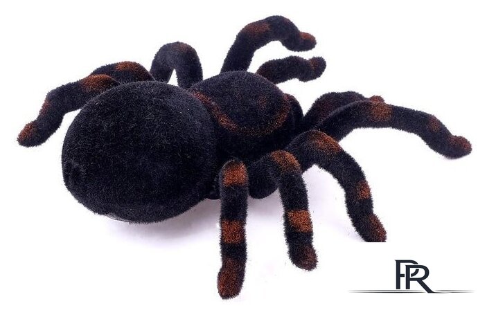 Интерактивная игрушка Woow Toys Тарантул (черный) - Изображение №3 — Интернет-магазин ПроЗаказ