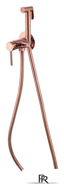 Гигиенический душ Abber Wasser Kreis AF8125RG (розовое золото) - Изображение №1 — Интернет-магазин ПроЗаказ