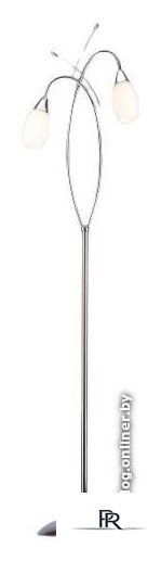 Торшер Евросвет Ginevra 22080/2F (хром) - Изображение №1 — Интернет-магазин ПроЗаказ