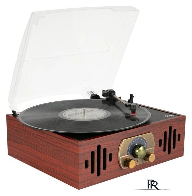 Виниловый проигрыватель Alive Audio Quattro Wood - Изображение №2 — Интернет-магазин ПроЗаказ