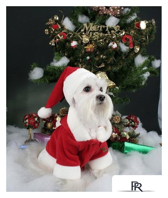 Куртка для животных Puppia Santa PDDF-SC23-RD-5L (красный) - Изображение №3 — Интернет-магазин ПроЗаказ