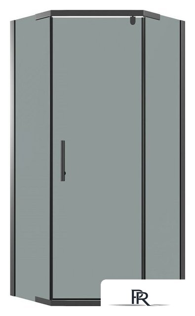 Душевой уголок Niagara Eco NG-1010-14DT 100x100x190 (черный/стекло тонированное) - Изображение №1 — Интернет-магазин ПроЗаказ