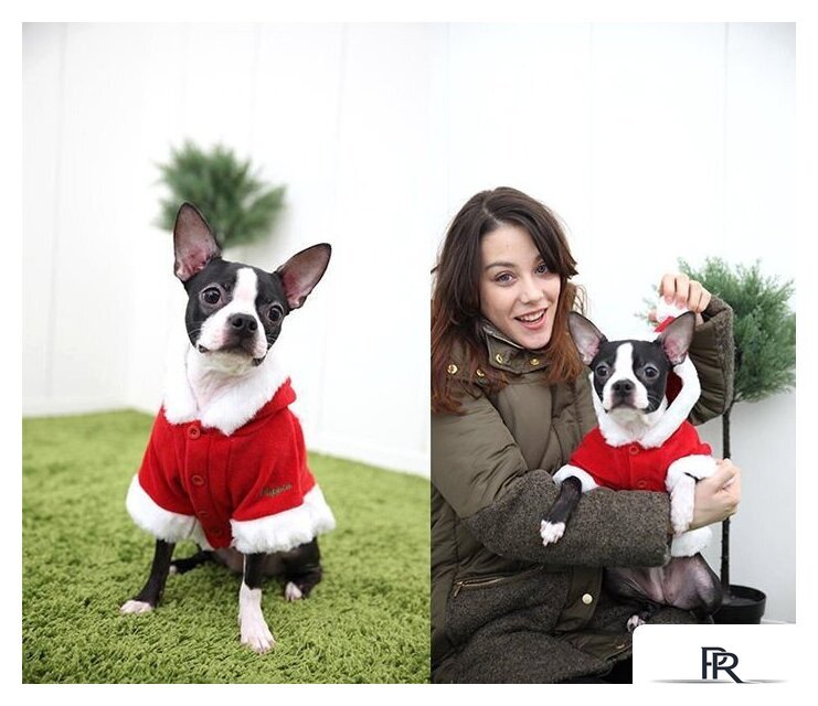 Куртка для животных Puppia Santa PDDF-SC23-RD-4L (красный) - Изображение №4 — Интернет-магазин ПроЗаказ