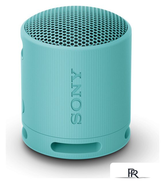 Беспроводная колонка Sony XB100 (голубой) - Изображение №1 — Интернет-магазин ПроЗаказ