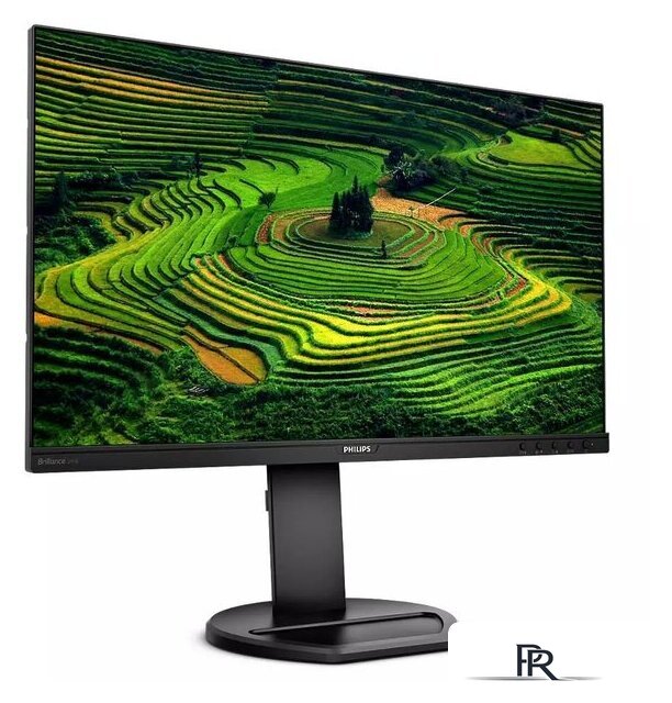 Монитор Philips 241B8QJEB/01 - Изображение №2 — Интернет-магазин ПроЗаказ