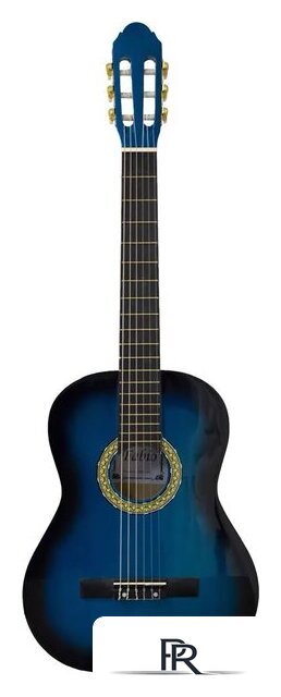 Акустическая гитара Fabio FB3910 BLS - Изображение №1 — Интернет-магазин ПроЗаказ