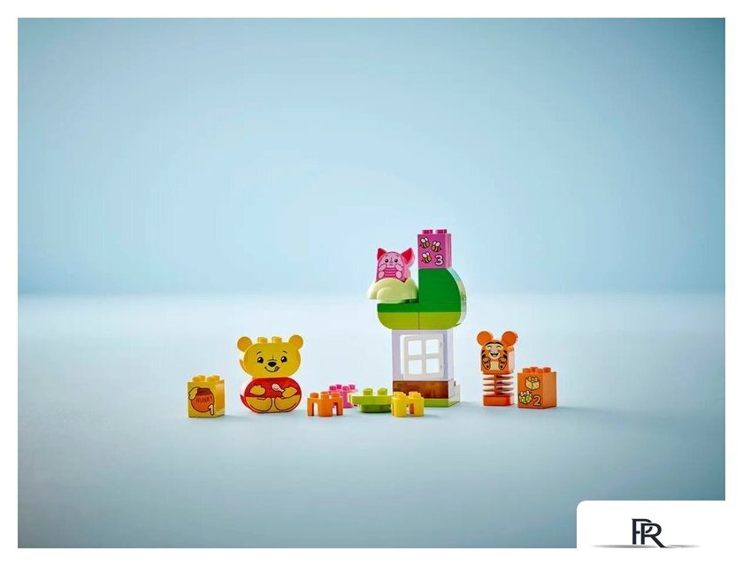 Конструктор LEGO Duplo Disney День Рождения 10457 - Изображение №8 — Интернет-магазин ПроЗаказ