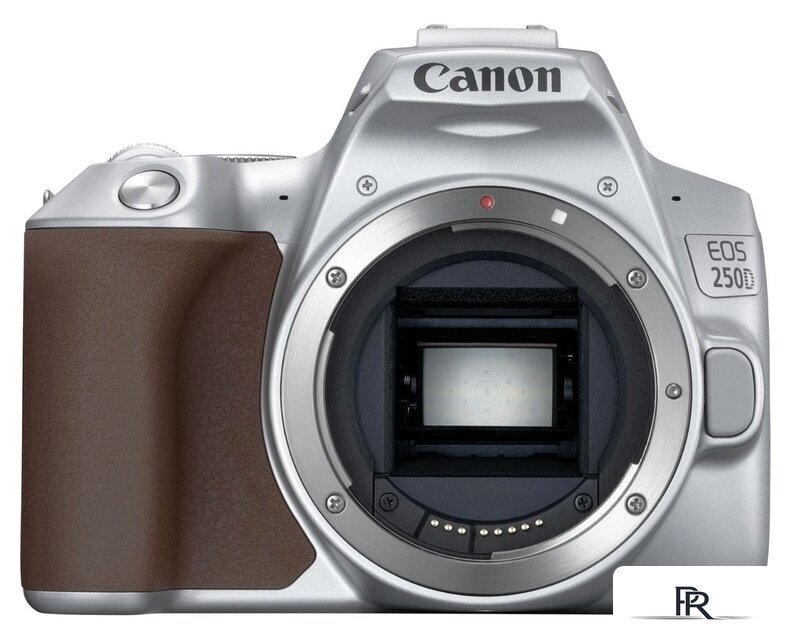 Зеркальный фотоаппарат Canon EOS 250D Kit 18-55 IS STM (серебристый) - Изображение №2 — Интернет-магазин ПроЗаказ