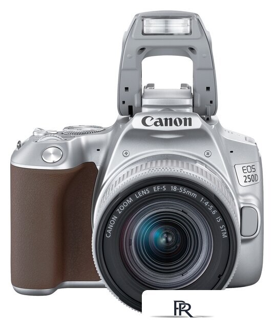 Зеркальный фотоаппарат Canon EOS 250D Kit 18-55 IS STM (серебристый) - Изображение №9 — Интернет-магазин ПроЗаказ