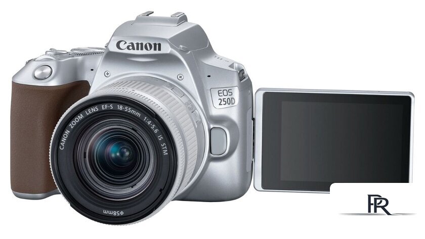 Зеркальный фотоаппарат Canon EOS 250D Kit 18-55 IS STM (серебристый) - Изображение №5 — Интернет-магазин ПроЗаказ