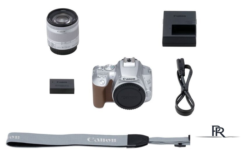 Зеркальный фотоаппарат Canon EOS 250D Kit 18-55 IS STM (серебристый) - Изображение №10 — Интернет-магазин ПроЗаказ