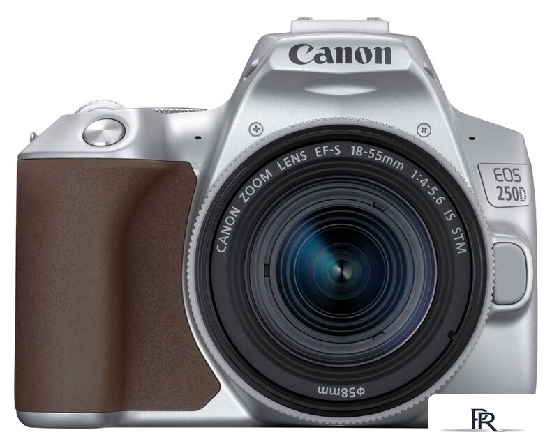 Зеркальный фотоаппарат Canon EOS 250D Kit 18-55 IS STM (серебристый) - Изображение №1 — Интернет-магазин ПроЗаказ