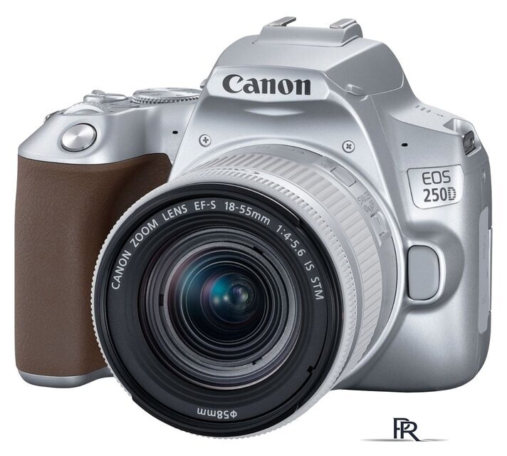 Зеркальный фотоаппарат Canon EOS 250D Kit 18-55 IS STM (серебристый) - Изображение №3 — Интернет-магазин ПроЗаказ