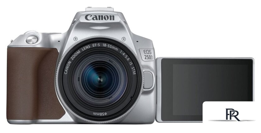 Зеркальный фотоаппарат Canon EOS 250D Kit 18-55 IS STM (серебристый) - Изображение №4 — Интернет-магазин ПроЗаказ
