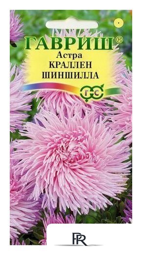 Семена цветов Гавриш Астра Краллен Шиншилла Н9 0.3 г - Изображение №1 — Интернет-магазин ПроЗаказ