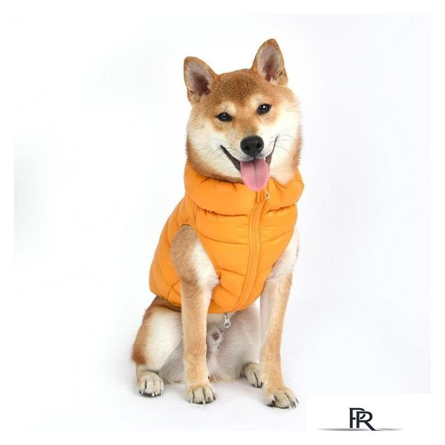 Жилетка для животных Puppia Ultra Light Vest A PAPD-JM1670-MS-XXL (оранжевый) - Изображение №3 — Интернет-магазин ПроЗаказ